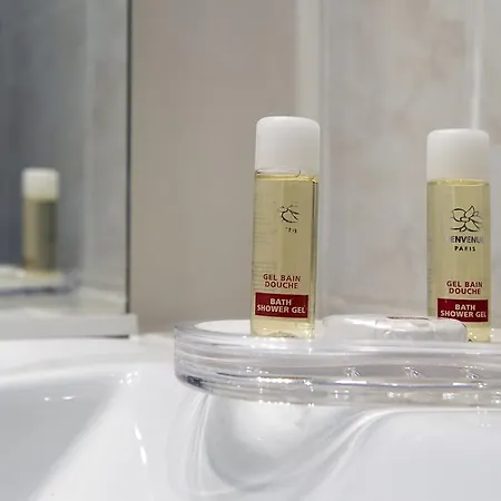 Du Moulin D'or Hotel Lille