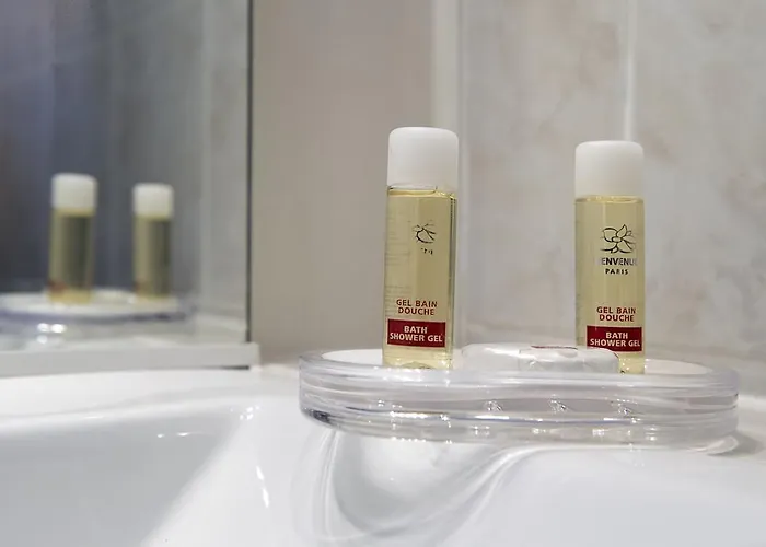 Du Moulin D'or Hotel Lilla